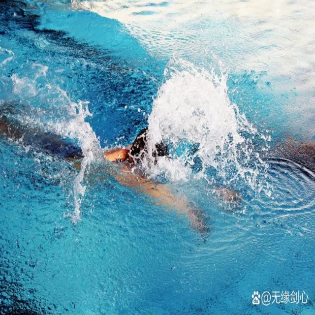 焦点人物与战术分析：热点新闻背后的深层解读